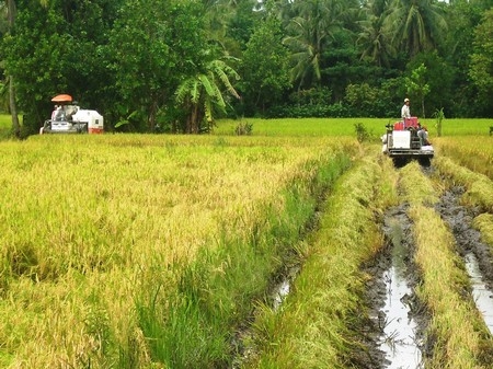 Cơ giới hóa đang tạo diện mạo mới trên ruộng đồng sau 40 năm.