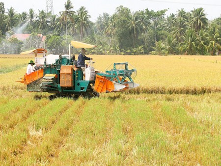 Theo đánh giá, việc triển khai nhiệm vụ tái cơ cấu kinh tế còn chậm; chất lượng, hiệu quả chưa có cải thiện nhiều. Ảnh: DƯƠNG THU