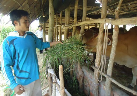 Nhờ vốn hỗ trợ, gia đình anh Thạch Cường có điều kiện vươn lên làm ăn hiệu quả.