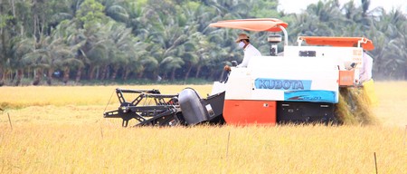 Dự báo việc xuất khẩu gạo sẽ gặp nhiều khó khăn do có sự cạnh tranh gay gắt.
