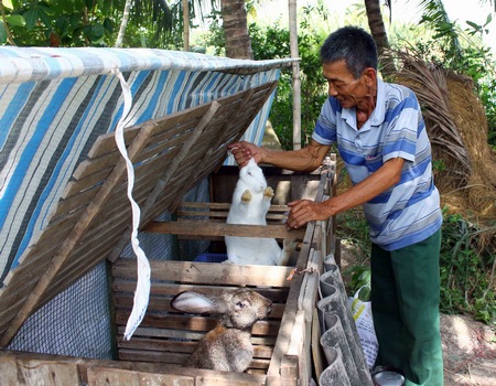 Không chỉ tiên phong hiến đất, chú Năm Bé còn chí thú làm ăn tham gia phát triển kinh tế ở địa phương.