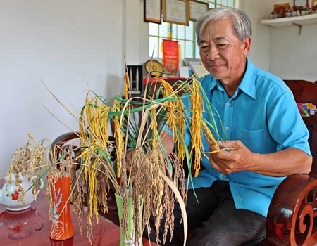 Các bình hoa rất đặc biệt trong nhà ông Long: hoa lúa.