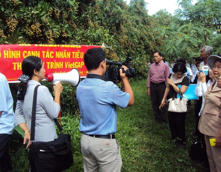 Hội thảo mô hình trồng nhãn tiêu da bò của Tổ hợp tác sản xuất xã Tân Hạnh.