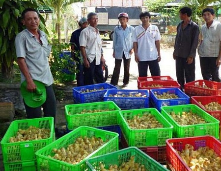 Người chăn nuôi cần tuân thủ các quy định về tiêm phòng chống dịch của cơ quan thú y.