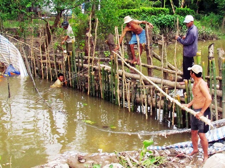 Làm đập dã chiến chi phí thấp nhưng ngăn lũ tốt được Bình Tân áp dụng nhiều năm qua. 