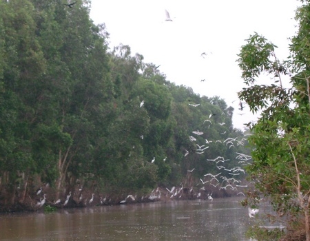 Vùng sinh thái Tháp Mười (Long An).