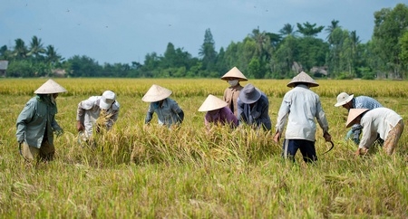 Nếu tham gia BHYT, các đối tượng không bị ảnh hưởng nhiều khi viện phí tăng. Ảnh: VINH HIỂN