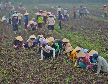 Hiện toàn tỉnh còn gần 30% dân số chưa tham gia BHYT. Ảnh minh họa: VINH HIỂN