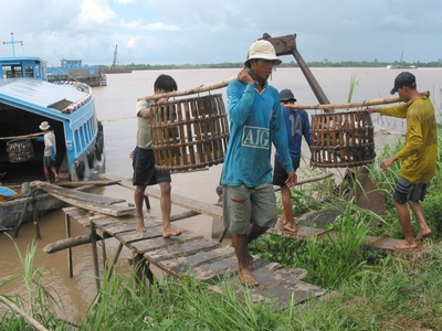 Thủy sản là 1 trong 5 ngành có kim ngạch xuất khẩu lớn nhất củaViệt Nam