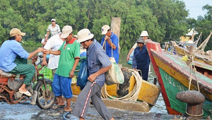 Ngư dân trở về sau chuyến đánh bắt.