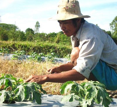 Cần quan tâm đầu tư song song yếu tố kỹ thuật và tìm thị trường cho nông sản.