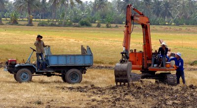 Nông dân dày công chăm sóc để đồng ruộng cho thu nhập cao hơn.