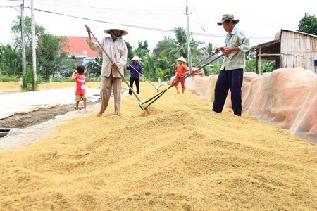 Cử tri lo lắng trước thực trạng “được mùa, mất giá” và ùn ứ hàng hóa trong tiêu thụ sản phẩm nông nghiệp diễn ra ở nhiều nơi.