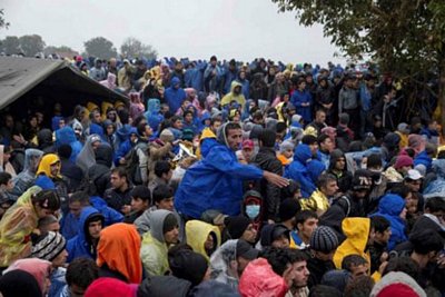 Đám đông người di cư đang chờ vượt qua biên giới để sang Croatia từ làng Berkasovo của Serbia.