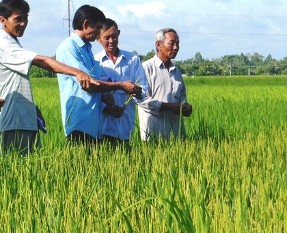 Nông dân xã Tân Long phấn khởi khi tham gia CĐML.