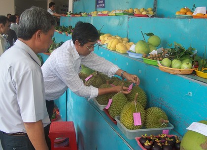 Cần có nhiều lao động nông nghiệp kỹ thuật cao mới có sản phẩm đủ sức cạnh tranh trên thị trường.