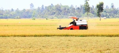 Trong giai đoạn hội nhập sâu rộng như hiện nay thì sản xuất quy mô lớn là điều phải tính đến.