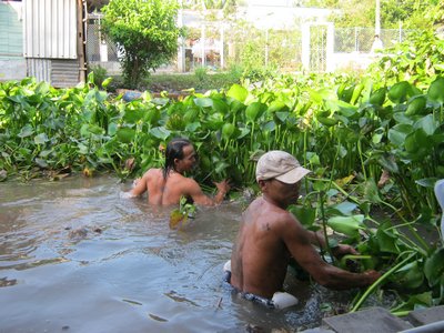 Dân hùn tiền làm sạch môi trường