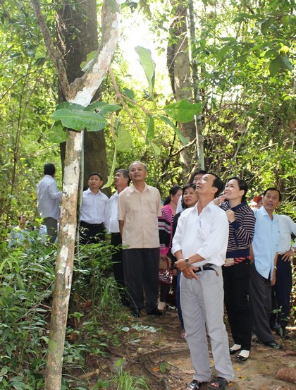 Thăm Vườn Quốc gia Lò Gò- Xa Mát- nơi đây từng là cơ sở của Đài phát thanh giải phóng miền Nam Việt Nam và cũng là căn cứ cách mạng của quân giải phóng.