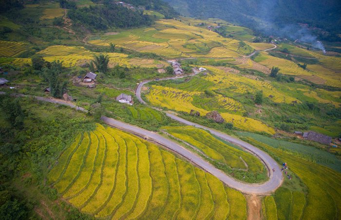 Những con đường ngoằn ngoèo vắt qua những thửa ruộng bậc thang đang mùa chín rộ kéo dài từ triền núi đến tận chân trời.