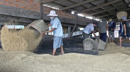 Thông qua các mô hình kinh tế tập thể đã tạo việc làm cho nhiều CCB và con em CCB.