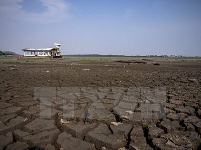  Đáy hồ Aleixo ở khu vực Manaus, Amazonas, Brazil nứt nẻ do hạn hán ngày 23/10. (Nguồn: AFP/TTXVN)