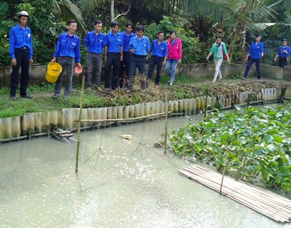 Những năm qua, có rất nhiều mô hình kinh tế hiệu quả của ĐVTN được tham quan, học hỏi.