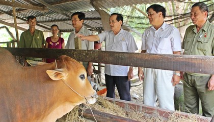 Hội CCB các tỉnh khu vực sông Tiền tham quan mô hình kinh tế của anh Hoàng (bìa trái).