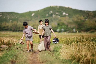 Một cảnh trong phim “Tôi thấy hoa vàng trên cỏ xanh” - bộ phim đoạt giải Bông sen Vàng tại LHP Việt Nam lần thứ 19.