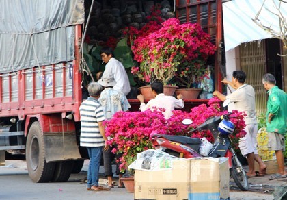 Không khí rộn ràng đang tràn ngập khắp đường phố Sa Đéc.