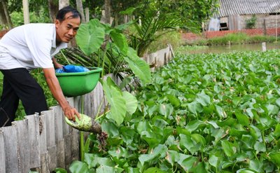 Nhờ chịu khó làm ăn và không ngại vươn lên anh Tài đã đưa kinh tế gia đình ngày càng đi lên.