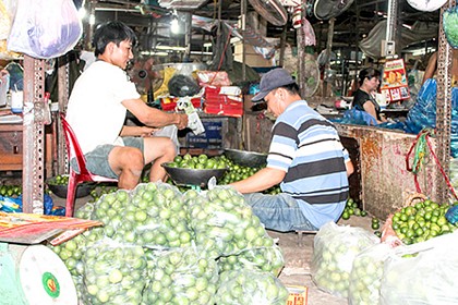 Thu mua trái chanh tại một vựa thu mua trái cây ở Nhà lồng 3, Trung tâm Thương mại Cái Khế, TP Cần Thơ.