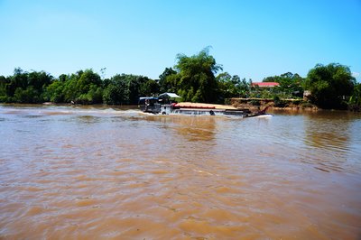 Thương lái ở cặp sông Măng Thít, sát với cánh đồng mẫu nhưng lại ngó lơ với giống lúa chất lượng cao.