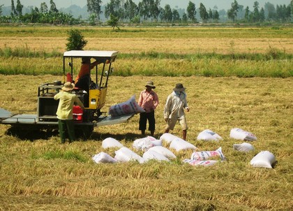 Cần đẩy nhanh tái cơ cấu nông nghiệp, nâng cao giá trị sản xuất.