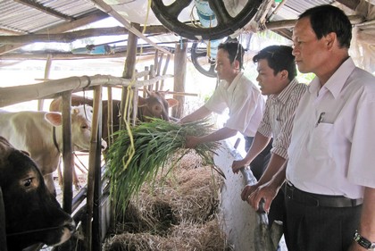 Từ nguồn Quỹ hỗ trợ nông dân đã góp phần tạo việc làm, tăng thu nhập cho hội viên. 