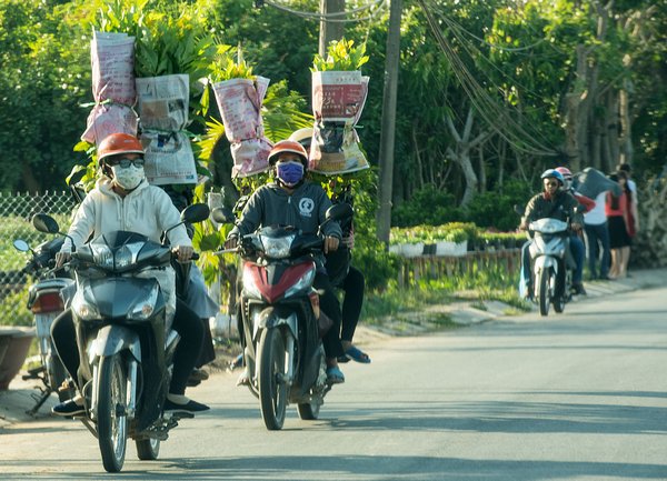 Nhiều gia đình “lo xa” hay là… “yêu hoa” mà khi đến đây đều rinh về vài chậu cây hoa kiểng yêu thích để chăm sóc và trang trí nhà cửa dịp tết.