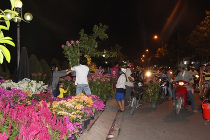 Quảng trường Vĩnh Long náo nhiệt tiếng nói cười, múa lân rộn rã.