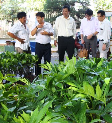Hội chợ thu hút đông lượt khách đến tham quan.