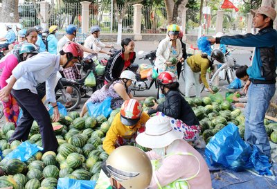 Dưa hấu hút hàng.