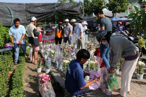 Hoa đại hạ giá. Hoa đẹp mà giá lại rẻ.