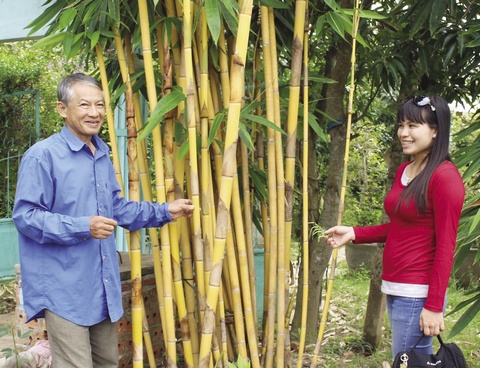 Cây hoàng trúc là sản phẩm chủ đạo trong việc đầu tư làm mới du lịch của ông Nghiệp (trái).