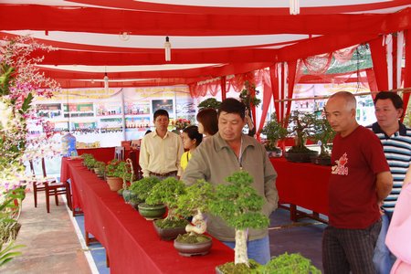 Hội thi vẫn thu hút nhiều khách tham quan.