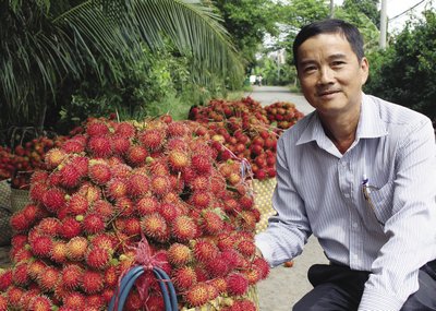 Chôm chôm Java rất được thị trường ưa chuộng.