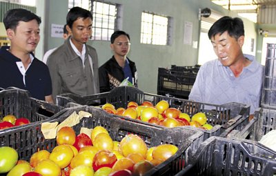 Sản phẩm hoàn thành của Công ty Phong Thúy.