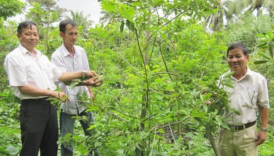 Từ phong trào thi đua yêu nước “CCB gương mẫu” đã có nhiều CCB vượt khó, vươn lên làm giàu.