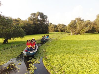 Tham quan rừng tràm Trà Sư (An Giang).