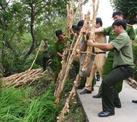 Khởi động Tháng Thanh niên, Đoàn các cấp đã thực hiện nhiều công trình, phần việc thanh niên hữu ích.
