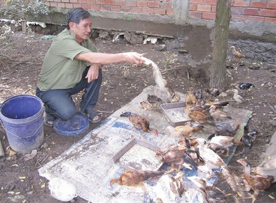 Chương trình sẽ trợ vốn vay không lãi suất luân chuyển giữa các hộ gia đình khó khăn.