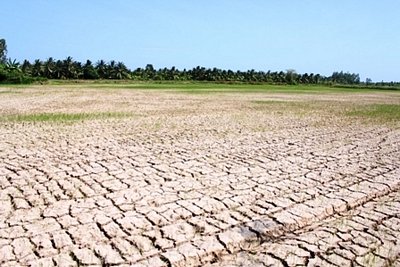 Những cánh đồng nứt toác do hạn hán. (Ảnh Dân trí)