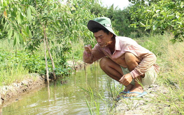 Nhà nông huyện Hậu Giang nếm thử nước để bơm nước tưới cây. Ảnh: Huỳnh Xây